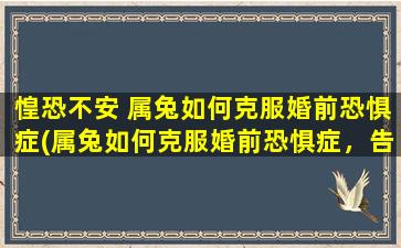 惶恐不安 属兔如何克服婚前恐惧症(属兔如何克服婚前恐惧症，告别惶恐不安)